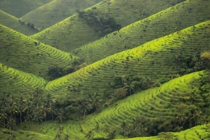 Gabon 2 Gabon is Surging Travel Industry with Visa Free Entry to 60 Countries Including Sri Lanka, Panama and Barbados