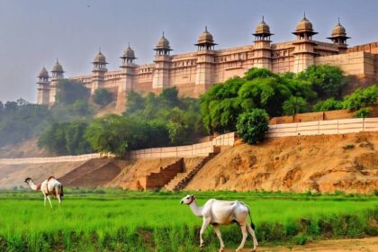 b8da4bed c581 48cd 9238 af3d3ef2 हरियाणा पर्यटन 1 सितंबर को अपनी 50वीं वर्षगांठ के अवसर पर भव्य समारोह मनाने की तैयारी में