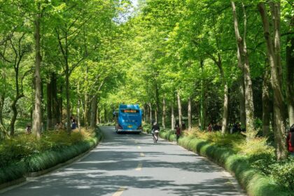 e bus zhong peng pixabay 1654489758854 बेस्ट ने मुंबई के प्रमुख बस स्टॉप पर ई-बाइक का सार्वजनिक परीक्षण शुरू किया