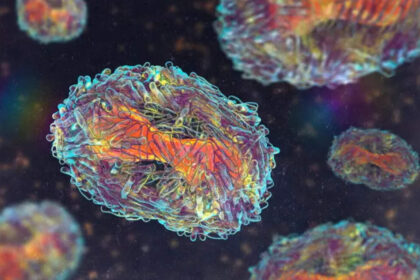 mpox is not the new covid says who official एमपॉक्स नया कोविड नहीं है: डब्ल्यूएचओ अधिकारी, ईटी हेल्थवर्ल्ड