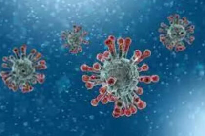 spike protein changes found to help coronavirus infect brain could be basis of long covid study स्पाइक प्रोटीन में होने वाले बदलाव कोरोनावायरस को मस्तिष्क को संक्रमित करने में मदद करते हैं, यह लंबे समय तक कोविड रहने का आधार हो सकता है: अध्ययन, ईटी हेल्थवर्ल्ड