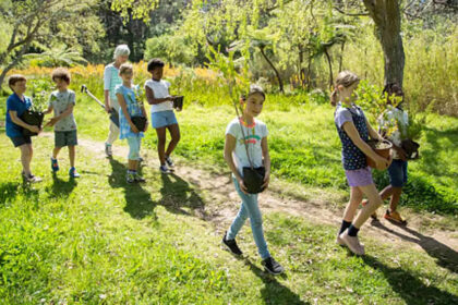 1726258549 photo राजस्थान के स्कूलों में व्यवहार और वृक्षारोपण के लिए अंक दिए जाएंगे