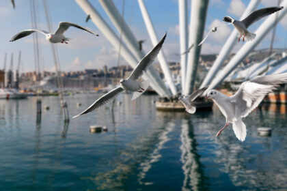 BigoGabbiani 2 2048x883 1 जेनोआ में विश्व पर्यटन कार्यक्रम 2024 में वैश्विक विरासत स्थलों और संस्कृति का सर्वश्रेष्ठ प्रदर्शन किया जाएगा