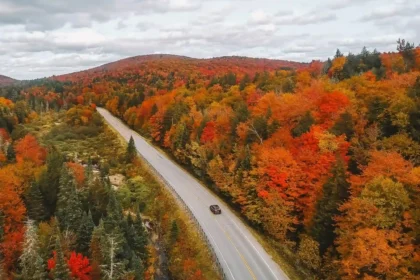 compressed image 1 1.webp भीड़ से बचें: शरद ऋतु में यात्रा के लिए 10 छुपे हुए रत्न