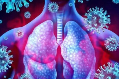 long covid inflicts deep scars on the lungs but targeting specific immune cells could reverse damage लॉन्ग कोविड फेफड़ों पर गहरे निशान छोड़ता है, लेकिन विशिष्ट प्रतिरक्षा कोशिकाओं को लक्षित करने से नुकसान को उलटा जा सकता है - चूहों में नया शोध, ईटी हेल्थवर्ल्ड