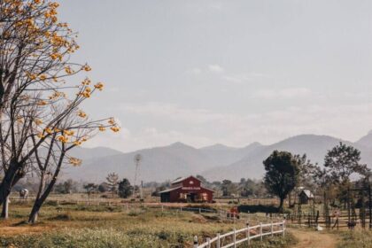 street thailand nature 1296 644 कैसल कॉम्बे दुनिया के सबसे खूबसूरत शरदकालीन गांवों में से एक क्यों है?