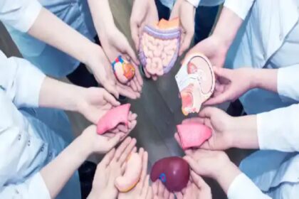 tamil nadu sees 18 surge in organ donations in 2024 तमिलनाडु में 2024 में अंगदान में ऐतिहासिक 18% की वृद्धि देखी गई, ईटी हेल्थवर्ल्ड