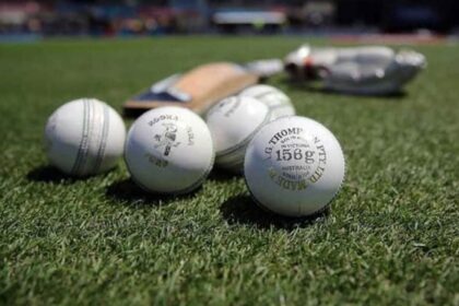 tdq3d3c8 cricket generic 625x300 27 December 19 5 शून्य, टीम 10 रन पर ऑल आउट: मंगोलिया ने दर्ज किया अनचाहा टी20 रिकॉर्ड