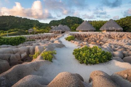 x7VYZYWUT8Wx2f2NzBRFww 1 नाउरू सरकार ने नाउरू पर्यटन कार्यालय के सहयोग से विस्फोटक पर्यटन वृद्धि के लिए प्रमुख मार्गों को उन्नत किया