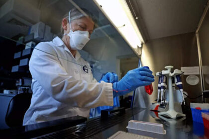 1729532202 photo कॉर्नेल बनाम यूसी डेविस: कौन सा पशु चिकित्सा विज्ञान कार्यक्रम अमेरिकी छात्रों के लिए बेहतर शैक्षणिक उत्कृष्टता और अनुसंधान प्रदान करता है?