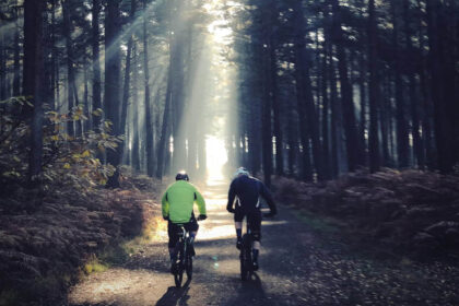 30241 1 scaled पाठकों ने शरद ऋतु के समृद्ध रंगों को कैद करने के लिए सबसे आश्चर्यजनक यूके वन ट्रेल्स का अनावरण किया