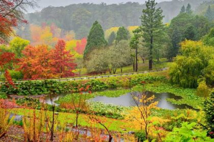 Australia 2 दक्षिण ऑस्ट्रेलिया पर्यटन को प्रदर्शित करने वाले 2025 एआरटी कन्वेंशन की मेजबानी करेगा: आपको इसके बारे में क्या जानने की आवश्यकता है?