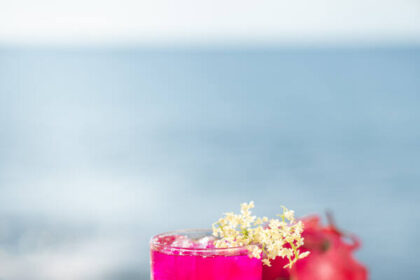 Rock Bars Signature Sustainable 1 बाली के प्रतिष्ठित रॉक बार ने हिंद महासागर से प्रेरित एक क्रांतिकारी टिकाऊ कॉकटेल मेनू का अनावरण किया