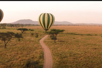 Screenshot 2024 09 28 110411 नैरोबी का उहुरू गार्डन जादुई केन्या ट्रैवल एक्सपो की मेजबानी करने के लिए तैयार है, जिसमें वैश्विक उपस्थित लोगों के लिए केन्या की समृद्ध वन्य जीवन और सांस्कृतिक विरासत का अनावरण किया जाएगा।