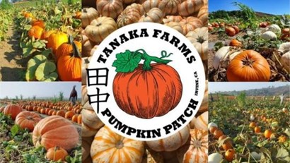 Tanaka Farms 1 तनाका फ़ार्म्स में जापानी व्यंजनों की खोज करें: इस हैलोवीन में एक अनोखा स्नैक सैंपलिंग कार्यक्रम