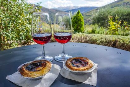 douro valley port wine cover 1 वाइन पर्यटन पोर्टो को बदल रहा है, आकर्षण और गुणवत्ता बरकरार है