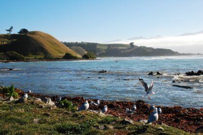 new zealand 5496374 1280 ऑस्ट्रेलेशिया, मेलानेशिया, माइक्रोनेशिया और पोलिनेशिया सहित ओशिनिया पर्यटन अर्थव्यवस्था को बढ़ावा देते हुए सतत यात्रा में वैश्विक नेता बन सकता है