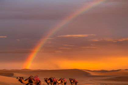 rainbow end road landscape 23 21 अलवर का मत्स्य महोत्सव 2024: राजस्थान की अद्भुत सांस्कृतिक छटा 25 नवंबर से शुरू होगी