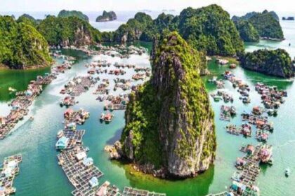 vietnam 1 वियतनाम गुजराती पर्यटकों को सीधी अहमदाबाद-दा नांग उड़ानों और अनोखे भारतीय व्यंजनों से आकर्षित करता है