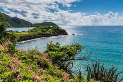 Antigua and Barbuda 1 लैटिन अमेरिका के सबसे बड़े पर्यटन मेले में कैरेबियन की चमक दिखी