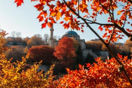 Turkey 2 फ्रांस, जर्मनी, ब्राजील, यूनाइटेड किंगडम और जीसीसी राष्ट्रों सहित 88 देशों के लिए वीजा मुक्त यात्रा के साथ तुर्की यात्रा उद्योग में वृद्धि कर रहा है।