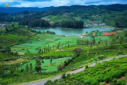 ooty1 ऊटी में अविस्मरणीय अनुभवों के बढ़ते आकर्षण की खोज करें, रोमांचकारी घुड़दौड़ से लेकर नीलगिरि माउंटेन रेलवे पर सुंदर सवारी तक, जो आपकी यात्रा को वास्तव में अद्वितीय बना देगा