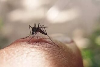 tn conducting indias first dengue vaccine pilot study says minister arunraj India Launches First Dengue Vaccine Pilot Study in Tamil Nadu, ETHealthworld