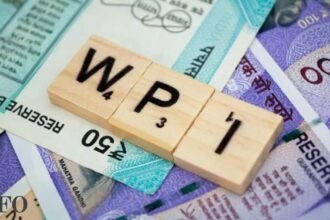 wpi inflation surges to 11 39 in september as fuel manufactured goods prices climb WPI inflation surges to 11.39% in September as fuel, manufactured goods prices climb, ETCFO